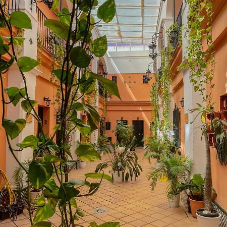 Alojamiento Rural Flamingo El Rocío Εξωτερικό φωτογραφία