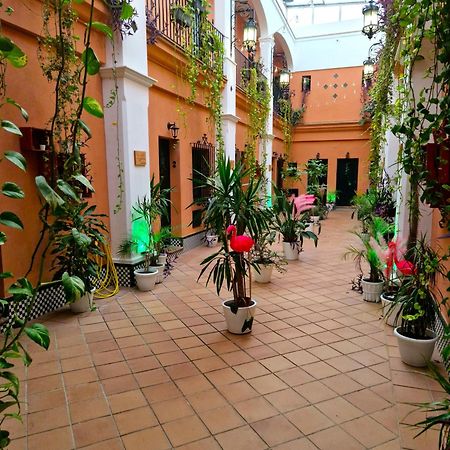Alojamiento Rural Flamingo El Rocío Εξωτερικό φωτογραφία