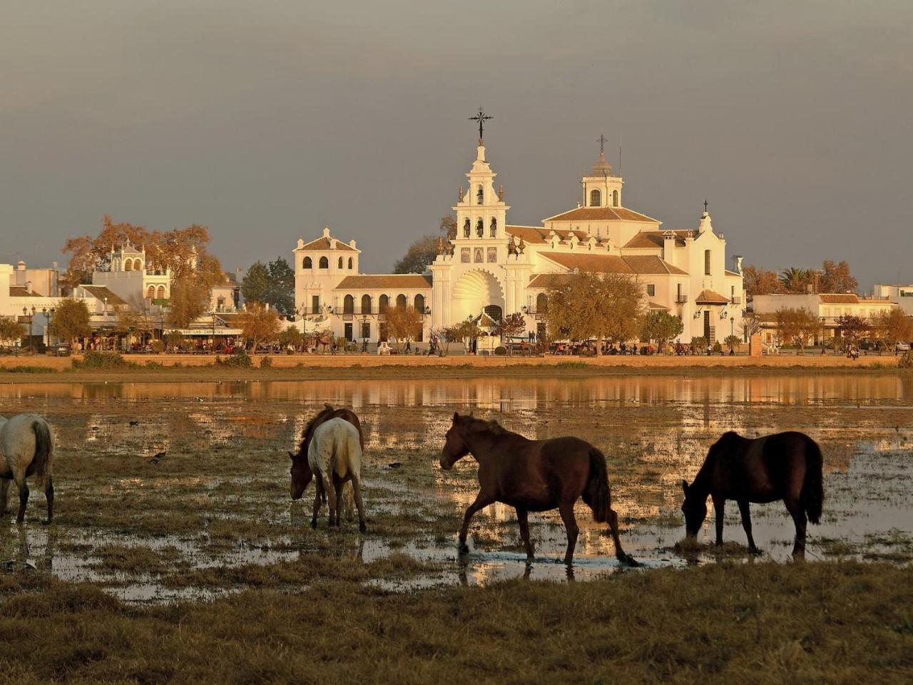 Alojamiento Rural Flamingo El Rocío Εξωτερικό φωτογραφία